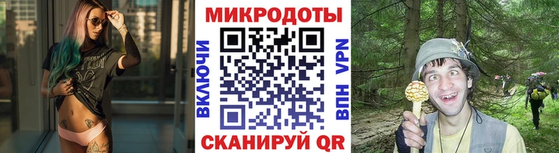 сколько стоит мориарти как зайти Галлюциногенные грибы прущие грибы Южно-Сахалинск