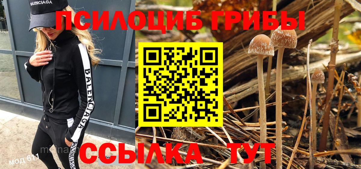 Псилоцибиновые грибы Psilocybe Южно-Сахалинск